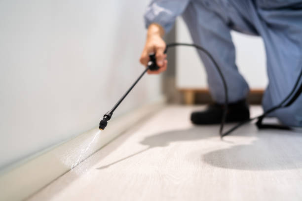 Bed Bug Pre-Treatment Preparation Assessment in Highland Village