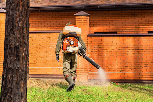 Bed Bug Clearance Verification and Documentation in Highland Village